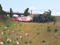 Modellerne-Kalundborg-2017